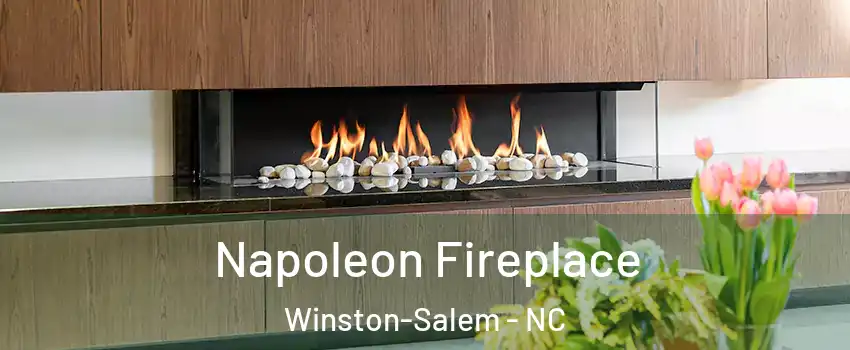 Napoleon Fireplace Winston-Salem - NC